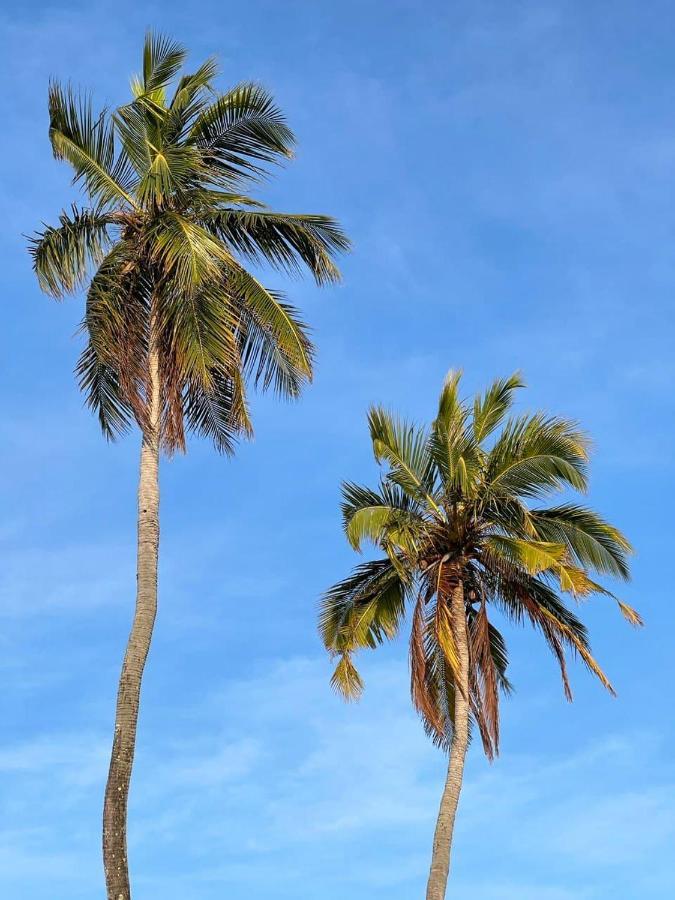 Raalhu Dhangethi Bed & Breakfast Eksteriør bilde